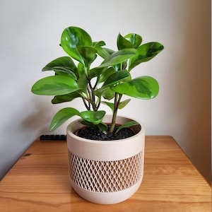 D added a photo of their purchase