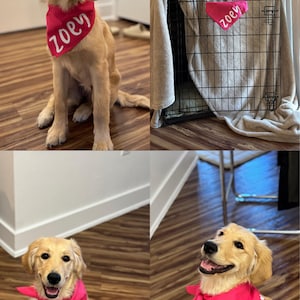 Cozylo ha añadido una foto de su compra