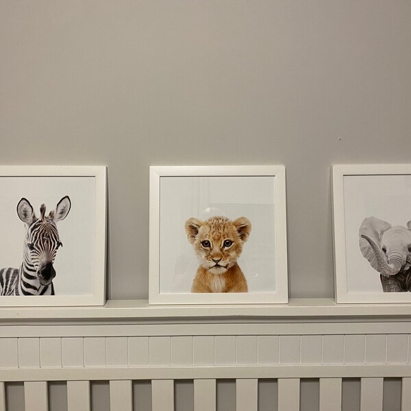 Safari Nursery Prints, Baby Animal Print, Set of 4 Jungle Nursery Wall ...