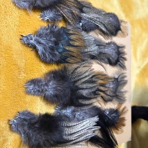 Amanda added a photo of their purchase