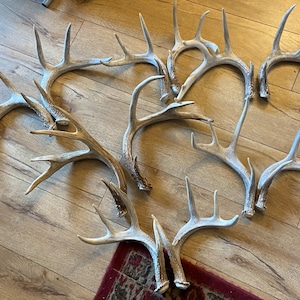 Angelique ha añadido una foto de su compra