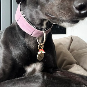 Samantha added a photo of their purchase