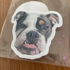 Dani added a photo of their purchase