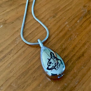 Eva added a photo of their purchase