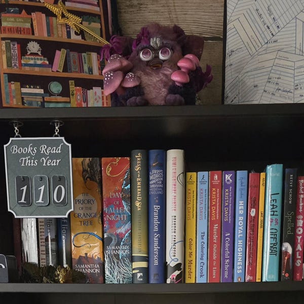 Hanging Bookshelf Counter Bookish Decor Books Read This Year Counter up ...