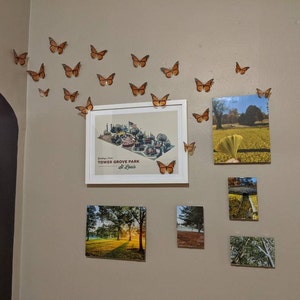 Alan added a photo of their purchase