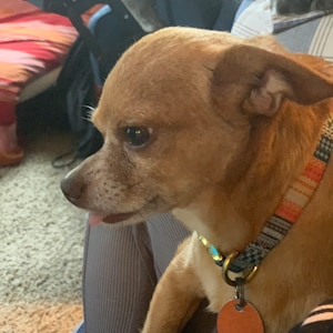Etsy buyer added a photo of their purchase