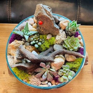 Betsy added a photo of their purchase