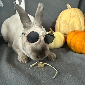 josie さんが購入した商品の写真を追加しました