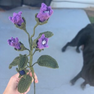 Kelly added a photo of their purchase