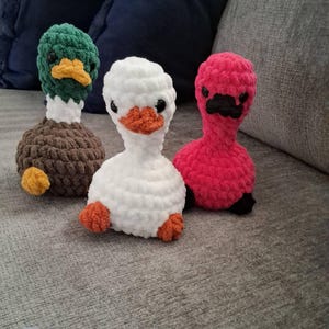 Amber heeft een foto van de aankoop toegevoegd