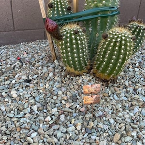 Melanie added a photo of their purchase