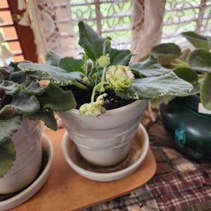 Maria added a photo of their purchase