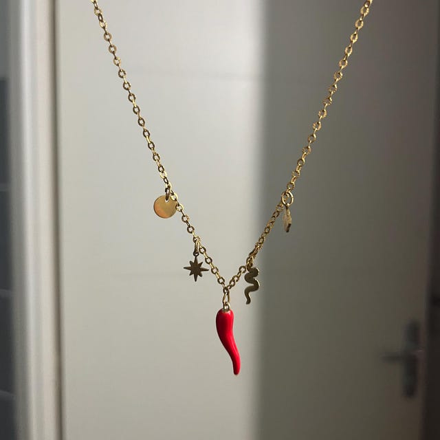Red Chili Pepper Necklace Stainless Steel Chain / Chili