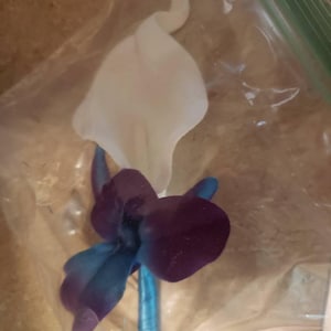 Remi a ajouté une photo de son achat