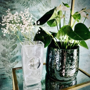 Magdalena added a photo of their purchase