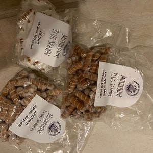 Taylor added a photo of their purchase
