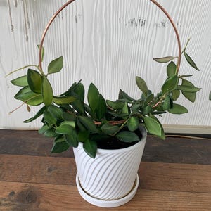 Diane added a photo of their purchase