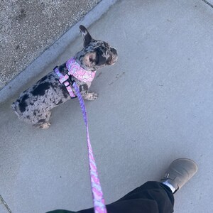 Erin added a photo of their purchase