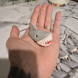 Lisa added a photo of their purchase