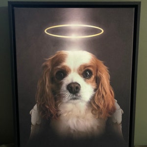 Kim adicionaram uma foto da sua compra