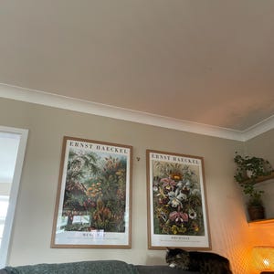Megan added a photo of their purchase