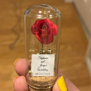Beauty and the Beast Mini Glass Wedding Favors for Guests, Wedding ...