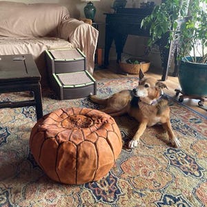 Caroline added a photo of their purchase