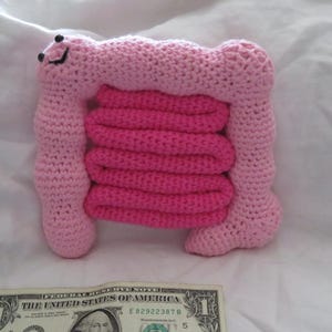 CheeseEest added a photo of their purchase