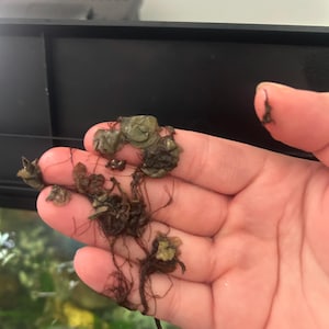 Wendy added a photo of their purchase