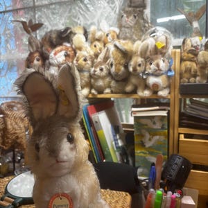 Laura added a photo of their purchase