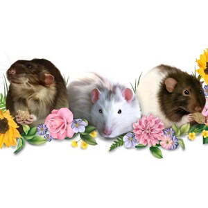 Sarah added a photo of their purchase