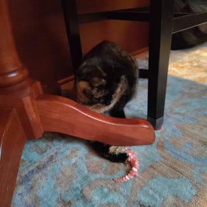 Etsy buyer added a photo of their purchase