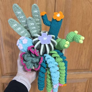 Sandra added a photo of their purchase