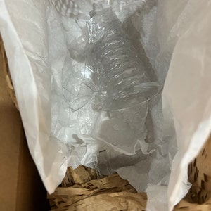 Emily added a photo of their purchase