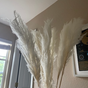 Lanie added a photo of their purchase