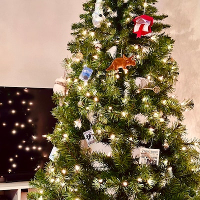 Nancy Drew Mini-book Ornament Set of 8 - Etsy