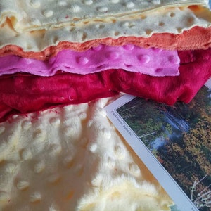 Samantha added a photo of their purchase