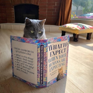 Rachel added a photo of their purchase