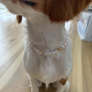 Marlene added a photo of their purchase