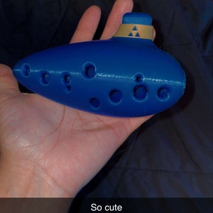 Selena added a photo of their purchase
