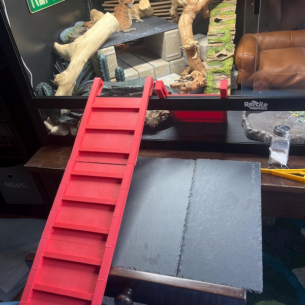 3D Printed Bearded Dragon Ramp Ladder (sold in Sections): Reptile ...