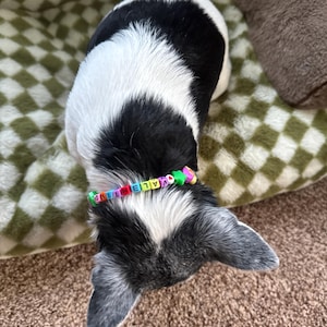 Marietta added a photo of their purchase