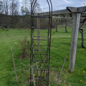 Lillian added a photo of their purchase