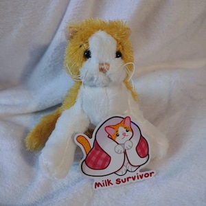 Webkinz Cat Survivor Stickers, Sleepy Cat, 3