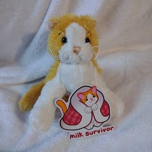 Spencer added a photo of their purchase