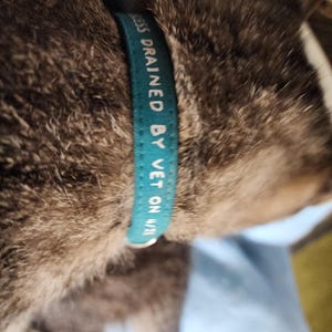 Etsy buyer added a photo of their purchase