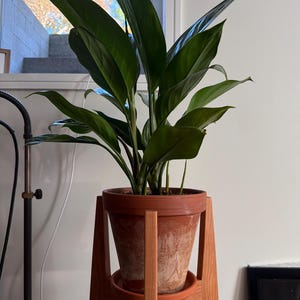 Jonathan added a photo of their purchase