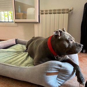 Lau added a photo of their purchase