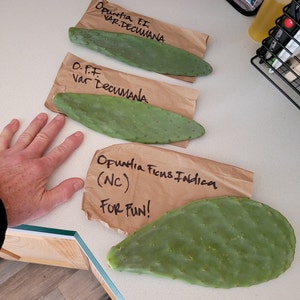 Herb added a photo of their purchase